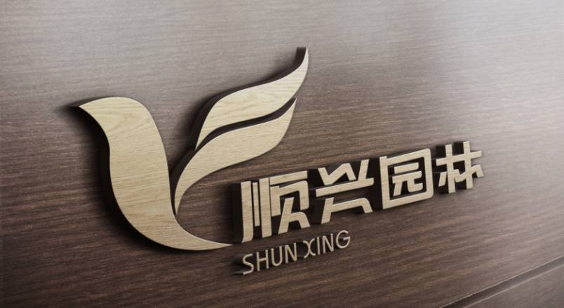 新平VI设计：城市品牌蝶变的核心引擎